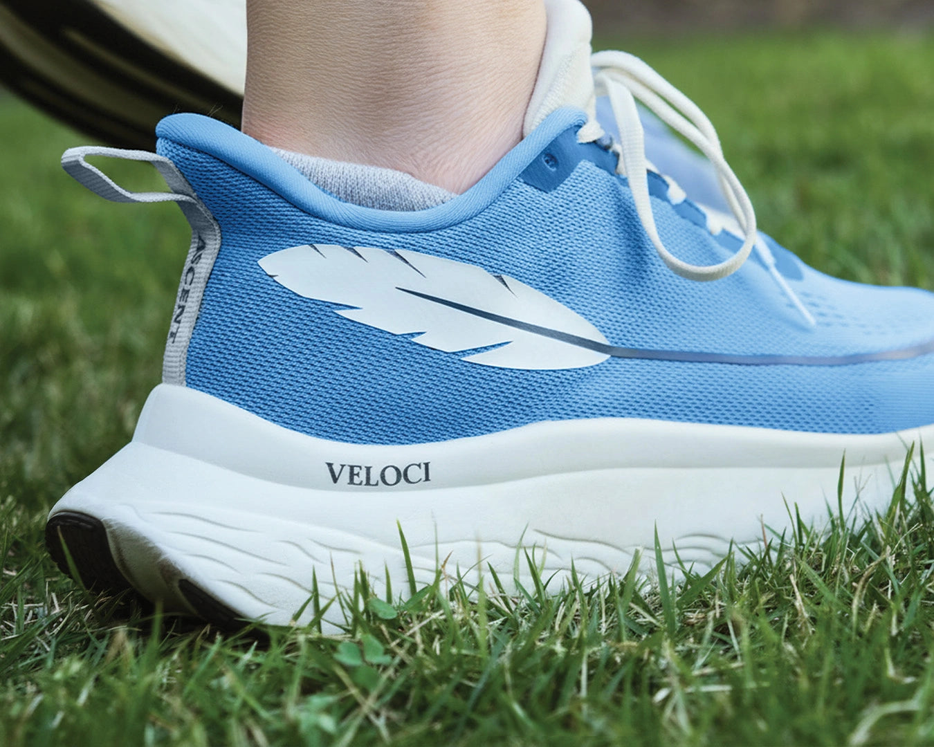 Outdoor grassy rear view of the Veloci Ascent pair in blue showing the padded heel collar and white outsole